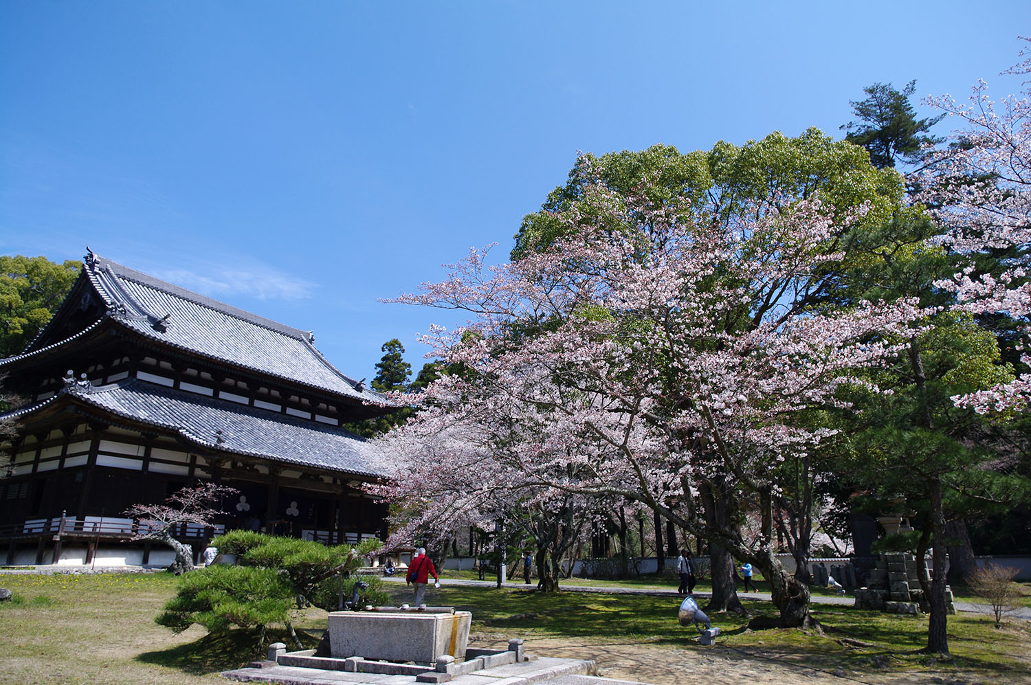 Negoroji (Iwade)