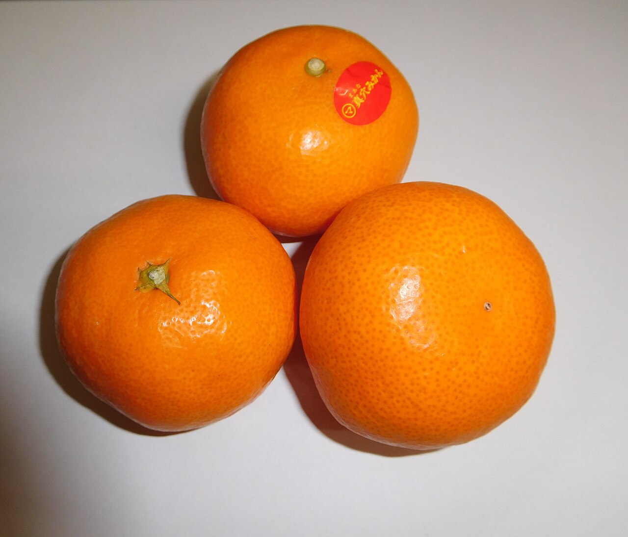 Ehime Mikan
