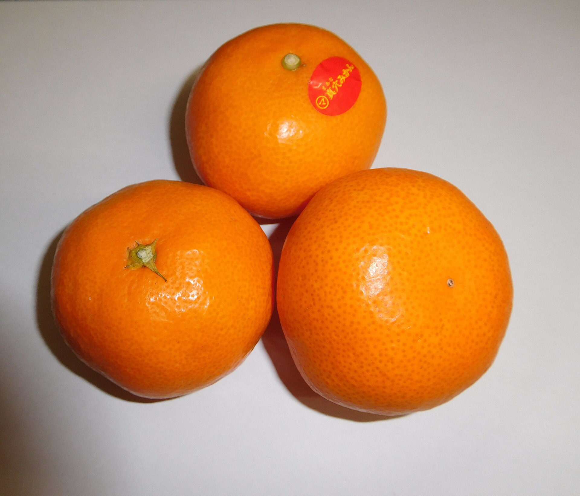 Ehime Mikan
